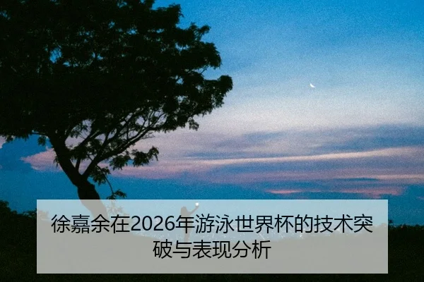 xu-jia-yu-zai-nian-you-yong-shi-jie-bei-de-ji-shu-tu-po-yu-biao-xian-fen-xi-2-449.jpg