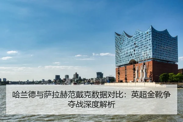 ha-lan-de-yu-sa-la-he-fan-dai-ke-shu-ju-dui-bi-ying-chao-jin-xue-zheng-duo-zhan-shen-du-jie-xi-2-499.jpg
