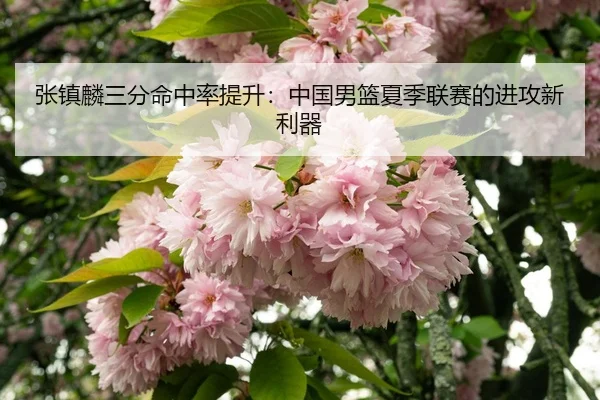 zhang-zhen-lin-san-fen-ming-zhong-lv-ti-sheng-zhong-guo-nan-lan-xia-ji-lian-sai-de-jin-gong-xin-li-qi-3-343.jpg