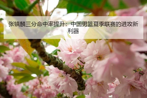 张镇麟三分命中率提升：中国男篮夏季联赛的进攻新利器