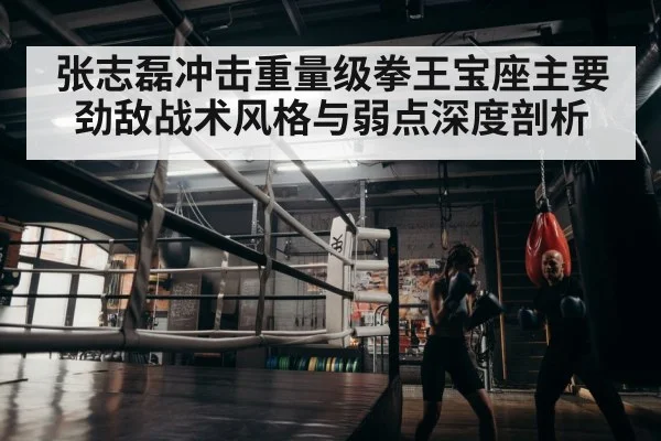 boxer training
