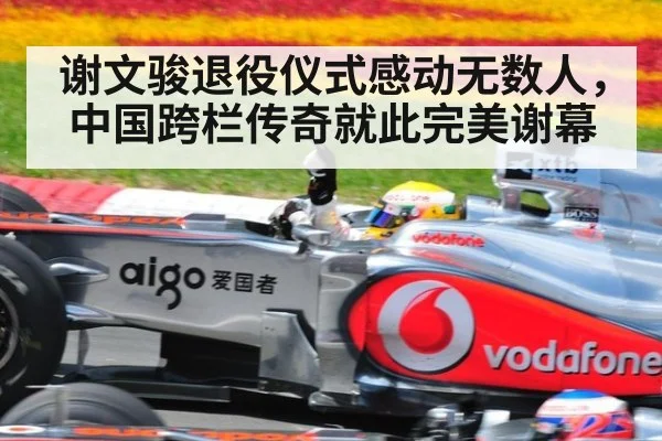 谢文骏退役仪式感动无数人，中国跨栏传奇就此完美谢幕